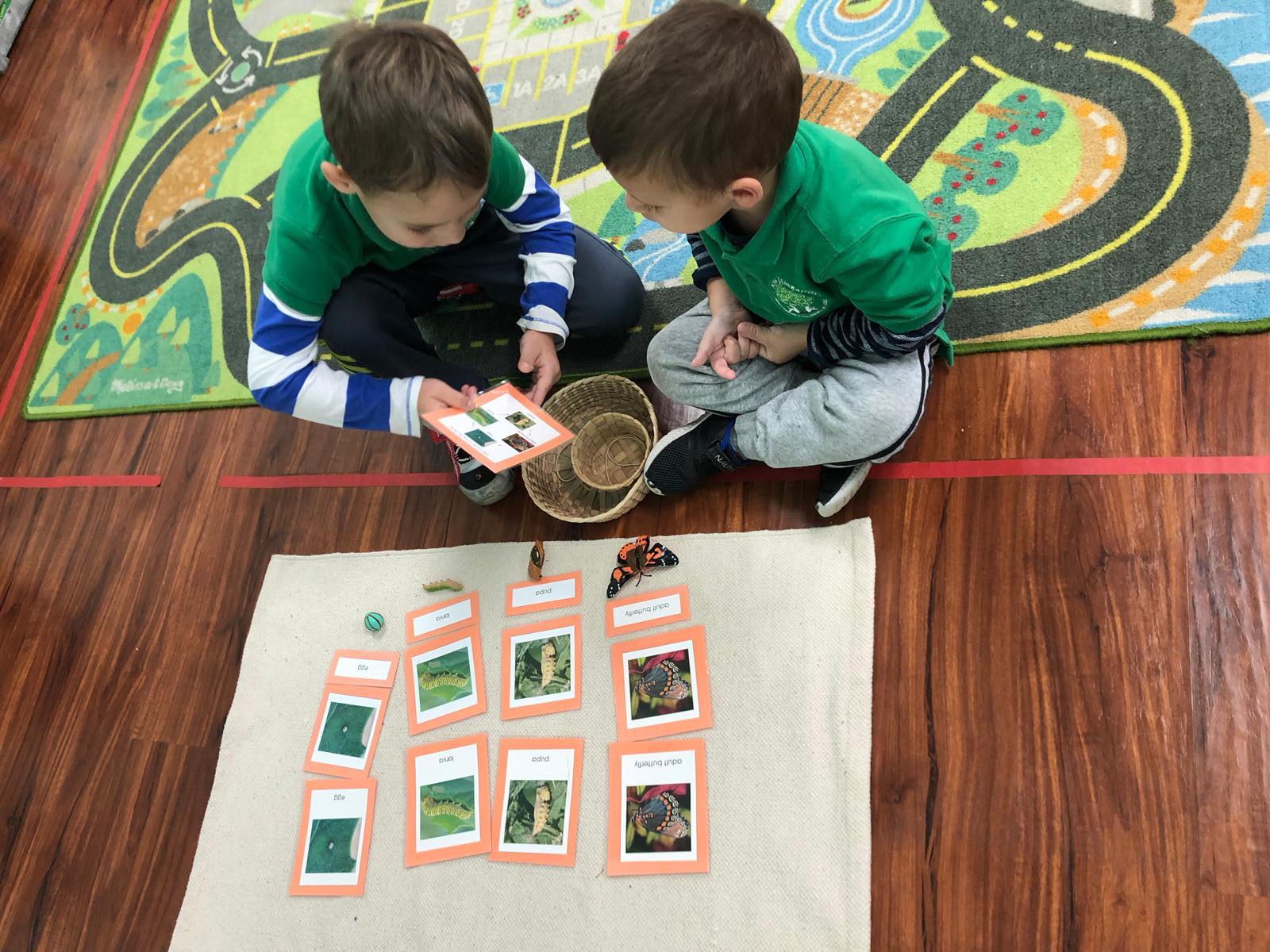 How is Montessori Different?